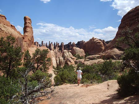 Paysage du Primitive Loop Trail Paysage du Primitive Loop Trail