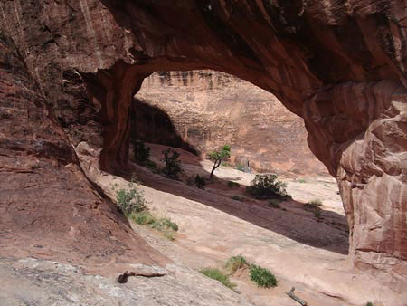 Private Arch Private Arch