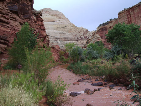 aux alentours du Hickman Bridge Trail aux alentours du Hickman Bridge Trail