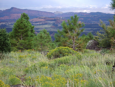 Dixie National Forest Dixie National Forest