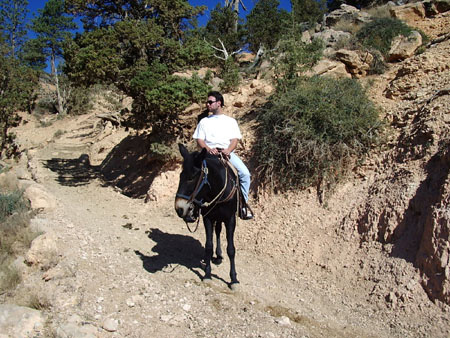 A cheval... A cheval...
