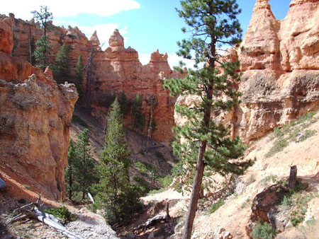 Le canyon de la rivière Paria Le canyon de la rivière Paria
