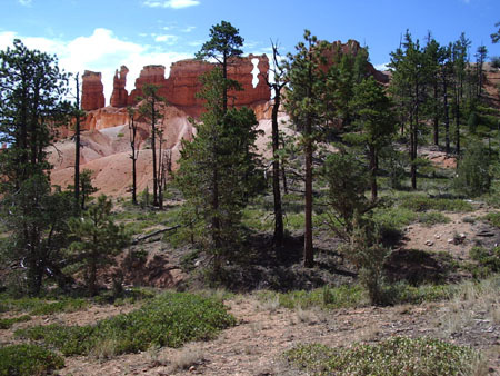 Bryce Canyon - the naked woman Bryce Canyon - the naked woman