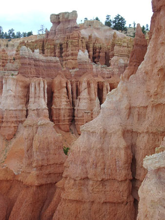 Bryce - Quelques hoodoos Bryce - Quelques hoodoos