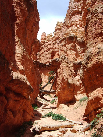 Bryce - Ici aussi, il y a des arches ! Bryce - Ici aussi, il y a des arches !