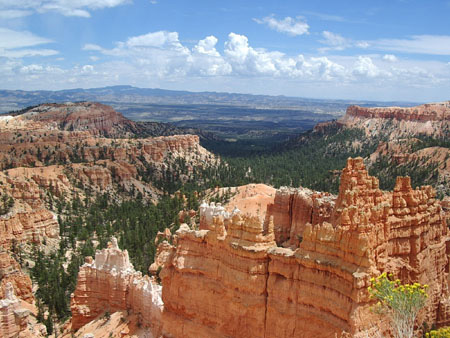 Bryce - Vue boisée Bryce - Vue boisée