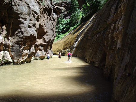 Narrows Narrows